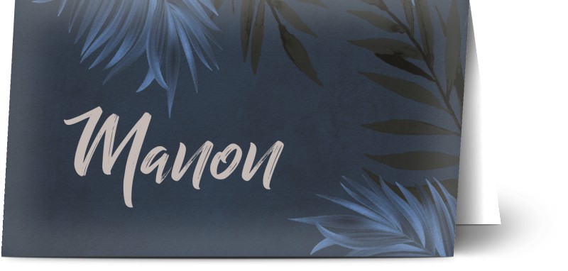 item preview