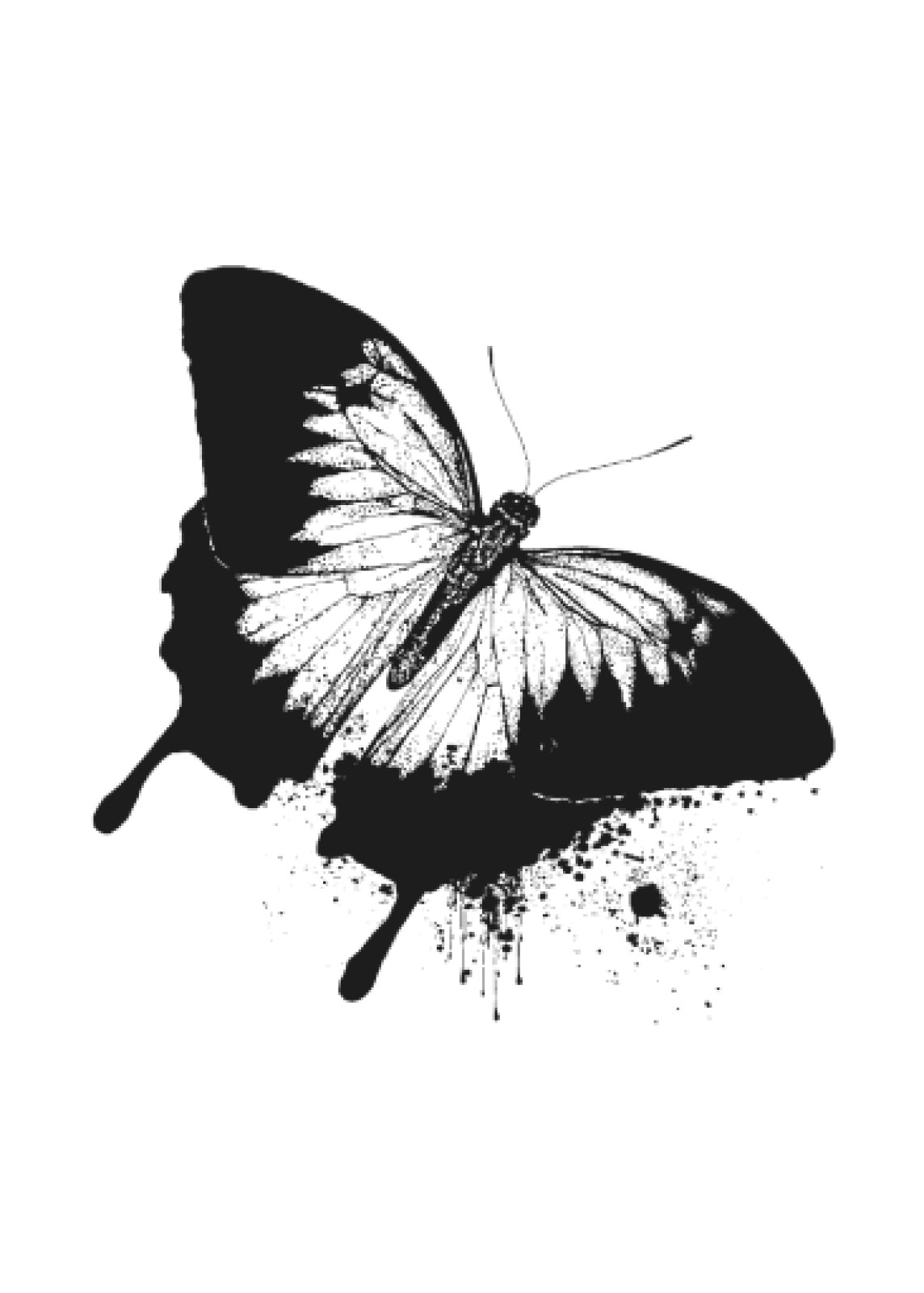 item preview