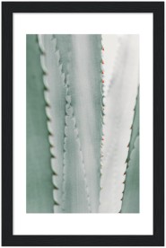 item preview