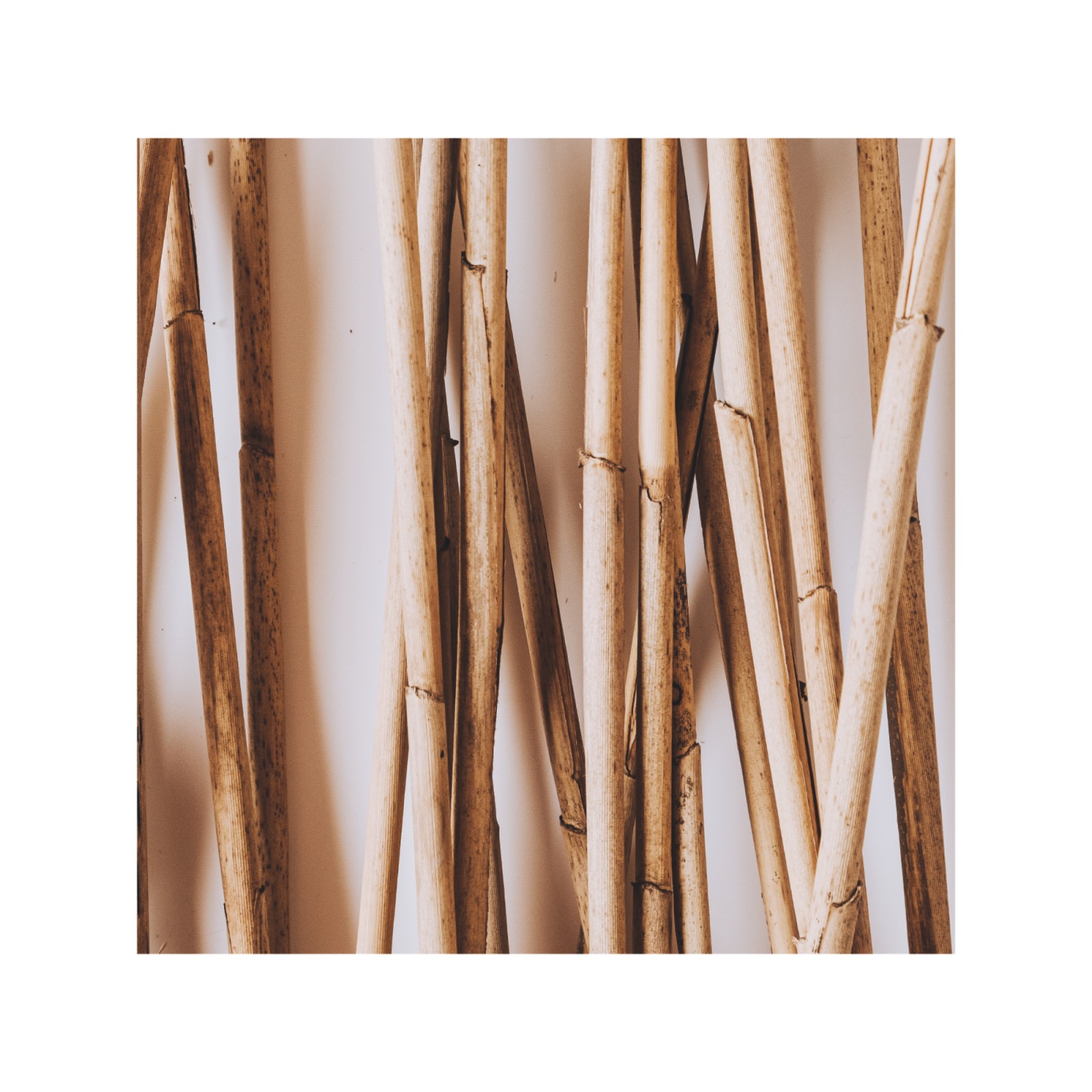 item preview