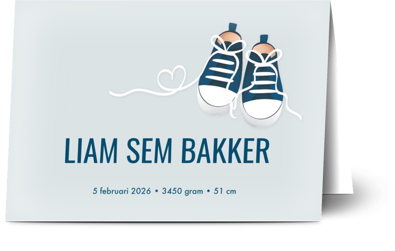 item preview