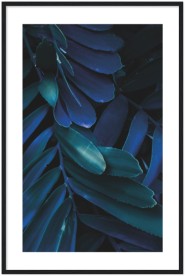 item preview